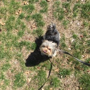 Meet your Posher, Cheri